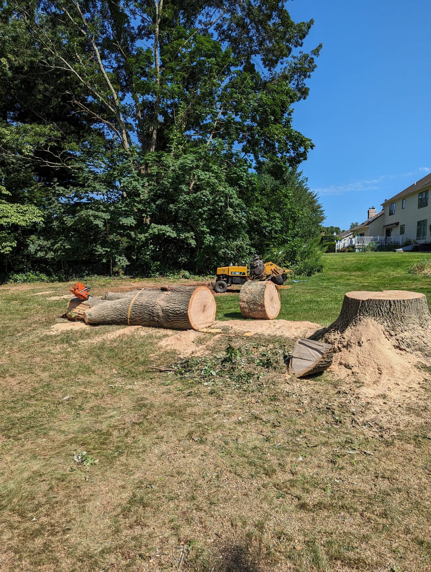 Freshly cut tree logs and a large tree stump sit on a residential lawn, surrounded by sawdust and wood chips. A stump grinder and other tree removal equipment are visible, indicating active stump grinding work near a suburban home.