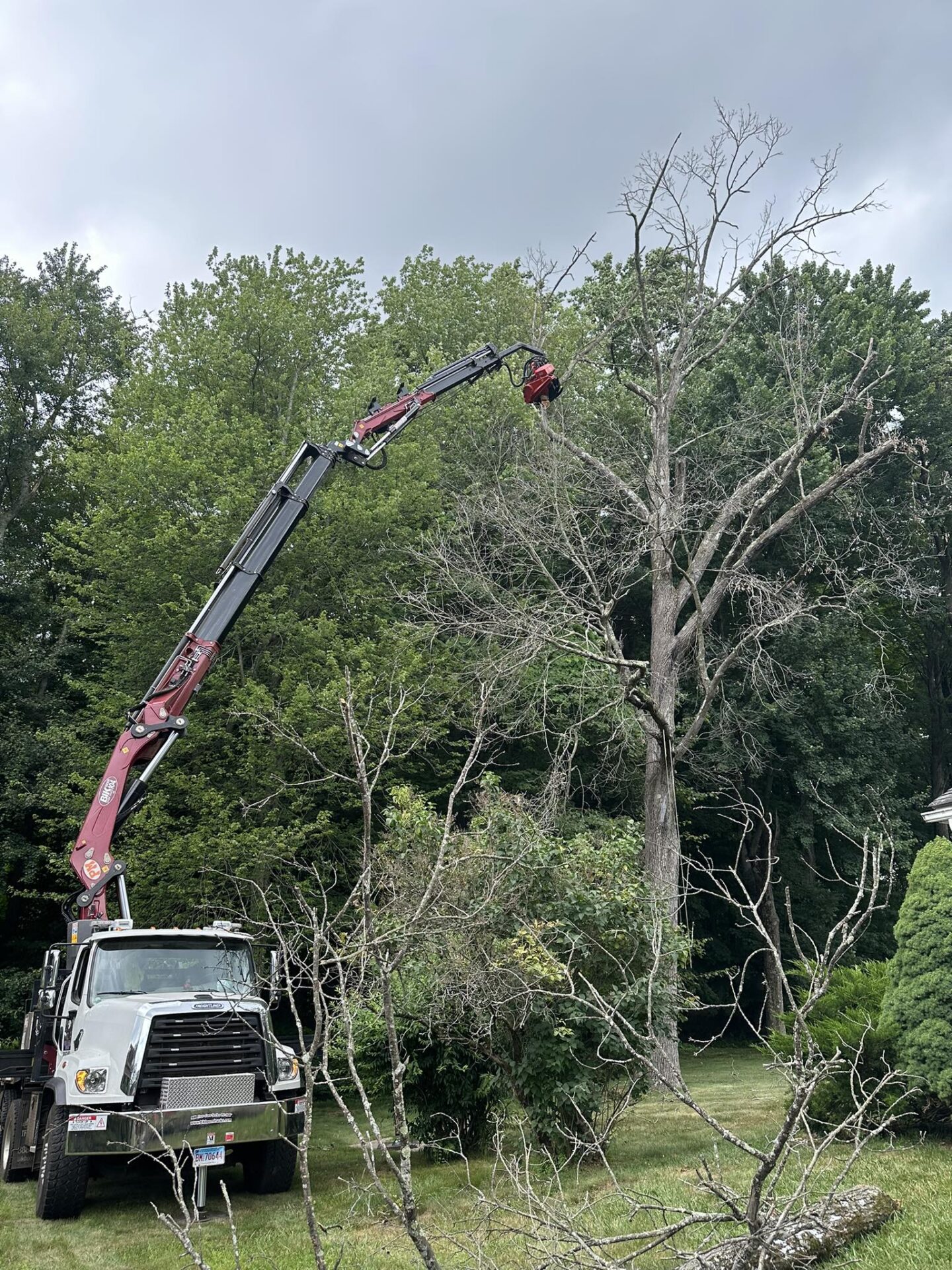 Crane-assisted tree removal in a residential backyard in Cheshire, CT, safely removing a large dead tree near a home.